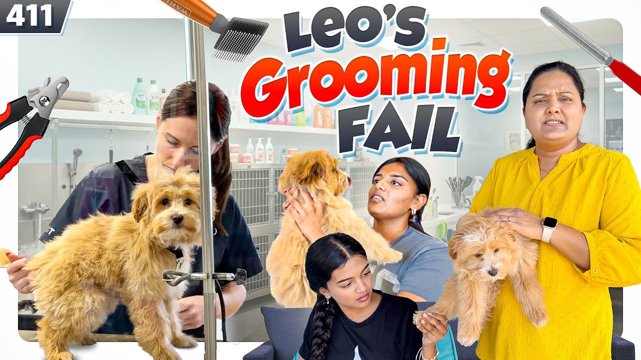 Leo&rsquo;s Grooming Fail😔| VAAS Family | Telugu Vlogs