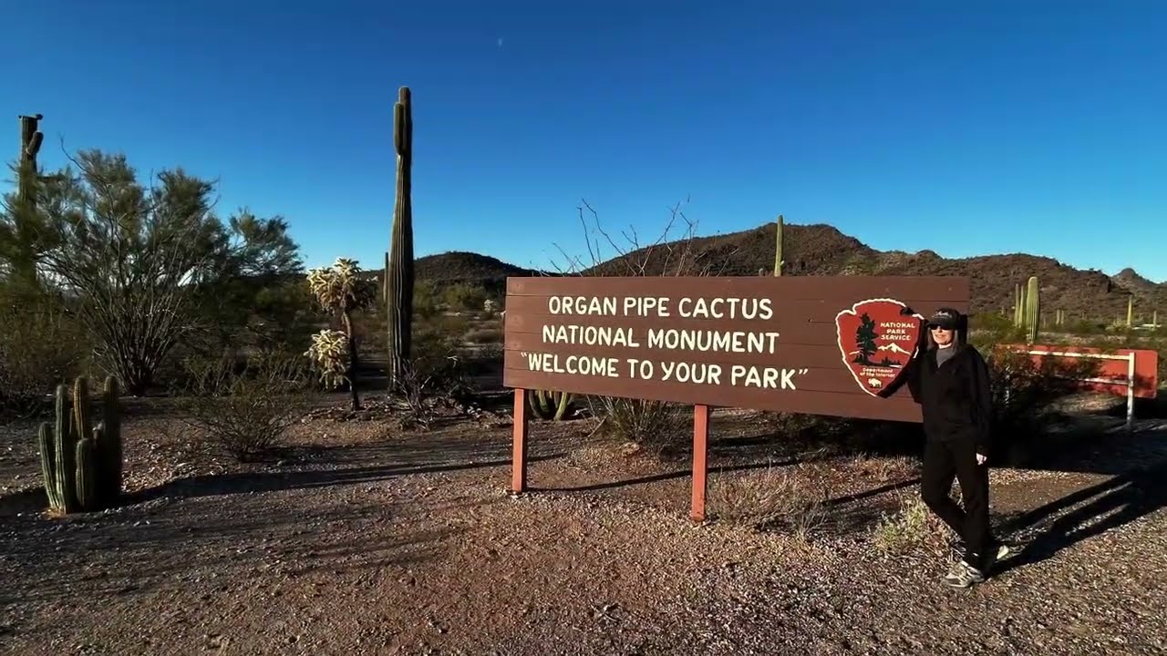 Organ Pipe Cactus 🌵 National Park à Ajo(Arizona)