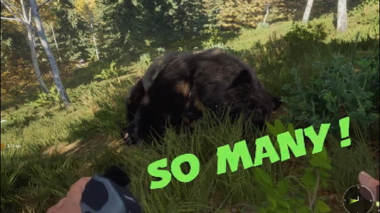 I Didn’t Expect THIS to Happen… | theHunter: Call of the Wild