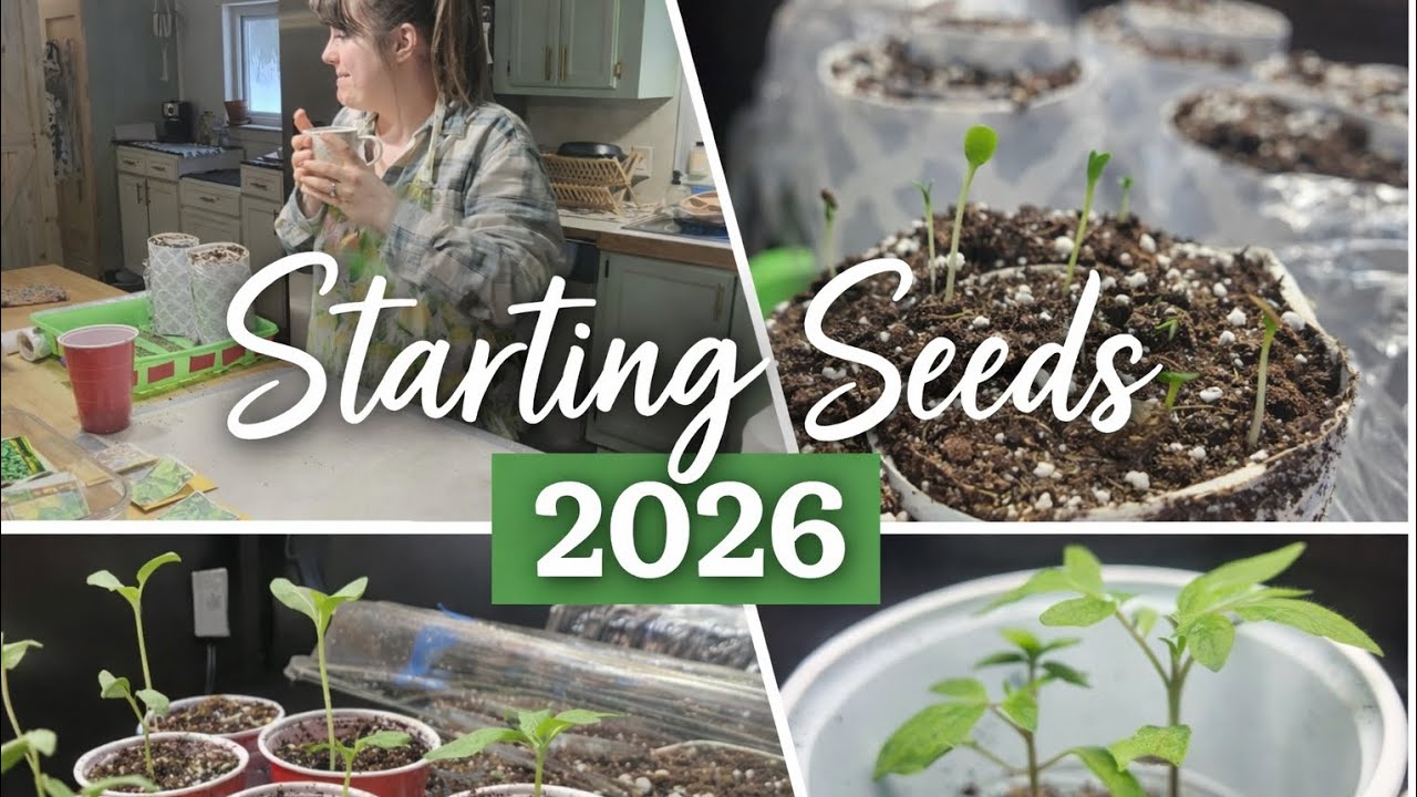  Starting Seeds Indoors | Stay-at-Home Mom Homestead Life | Seed Inventory for this Spring Planting