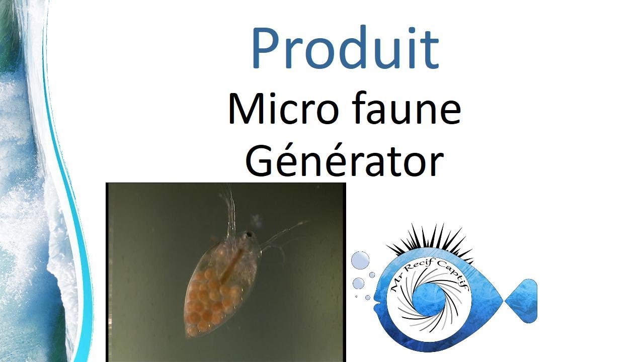 Micro faune générator - Mr Recif Captif #204 1er avril 2018