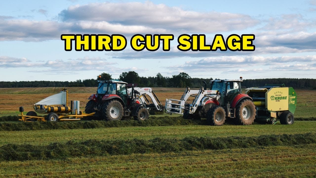 Давайте заготовим последний силос 2025 года!🚜🍀💪