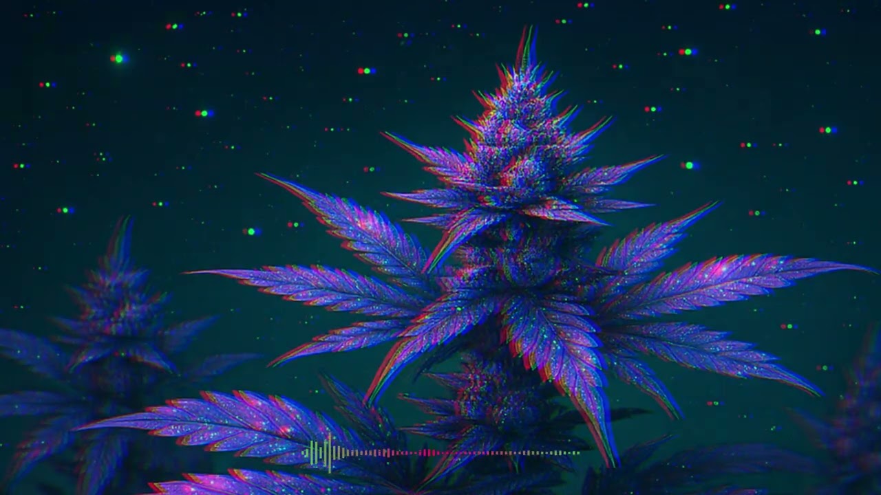 Galaxy Plant [Reggae]