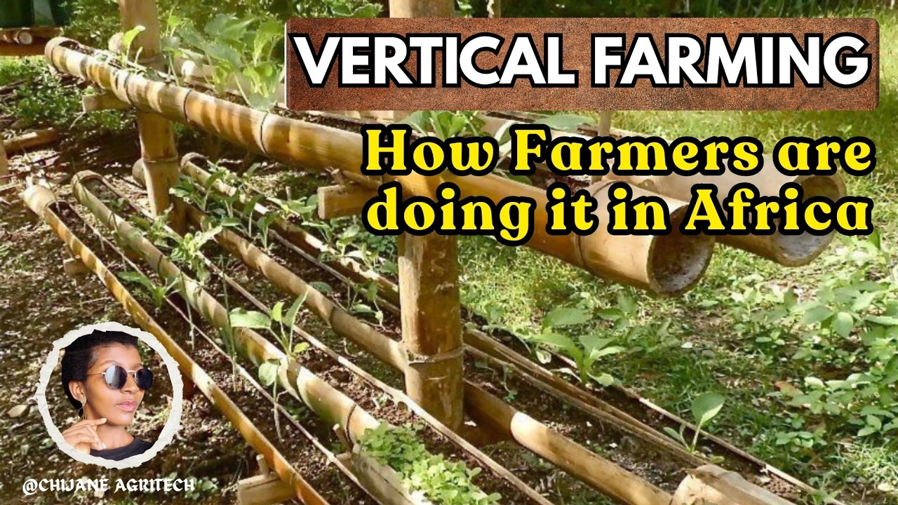 The Improvised Version of Vertical Farming in Africa #smartfarming
