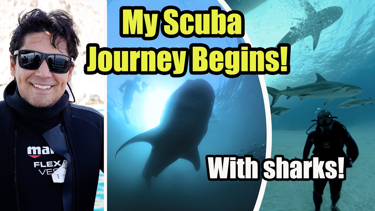 My Scuba Diving Journey Begins...With Sharks!