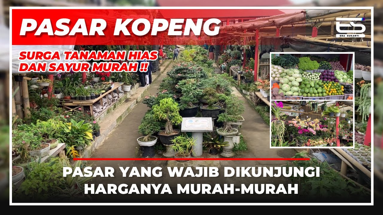 PASAR KOPENG SALATIGA - TEMPAT BERBURU ANEKA TANAMAN HIAS DAN SAYUR MURAH