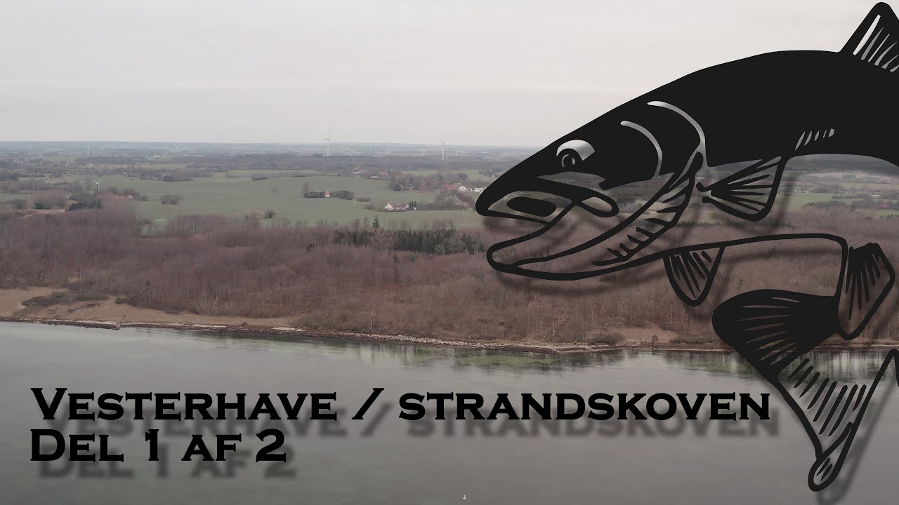 Vesterhave og strandskoven