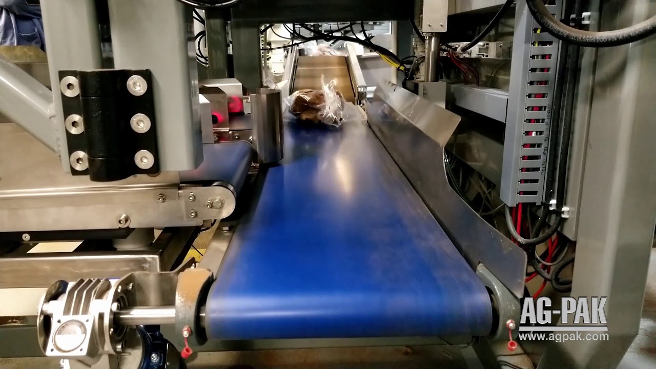 Ag Pak AP7000CW Automatic Singulation