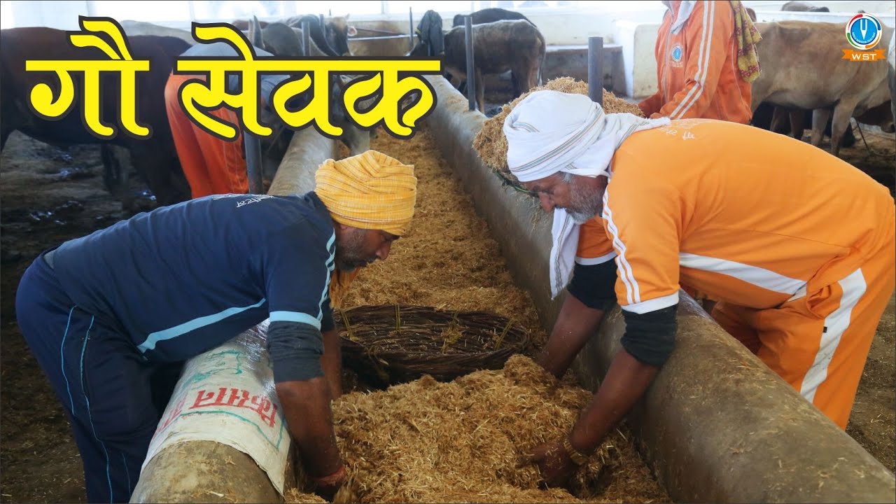 GAU SEVAK