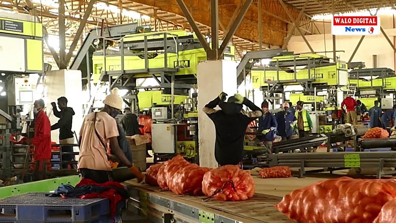AGRICULTURE: Dr. MACOUMBA DIOUF VANTE LES RESULTATS MARAICHERS DE SWAMI AGRI
