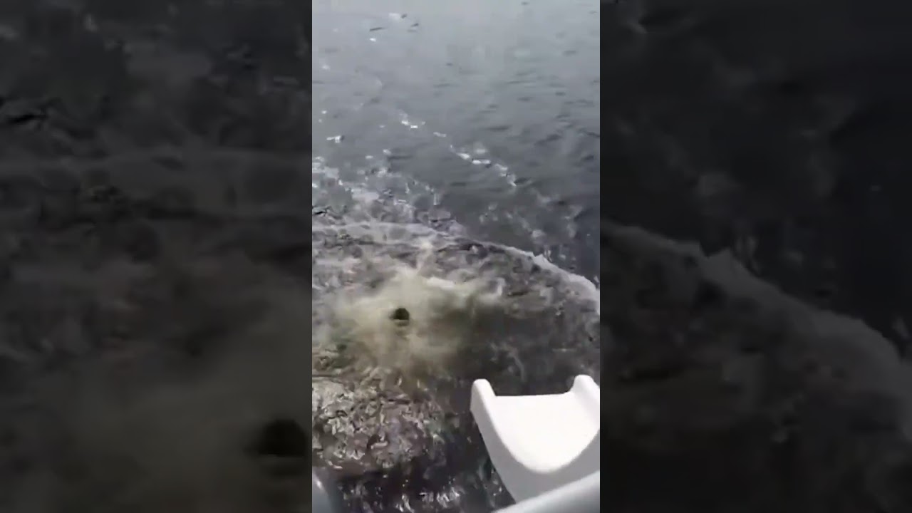 Best of fails compilation,#ytfails, yt#shorts, #ytlaughter,