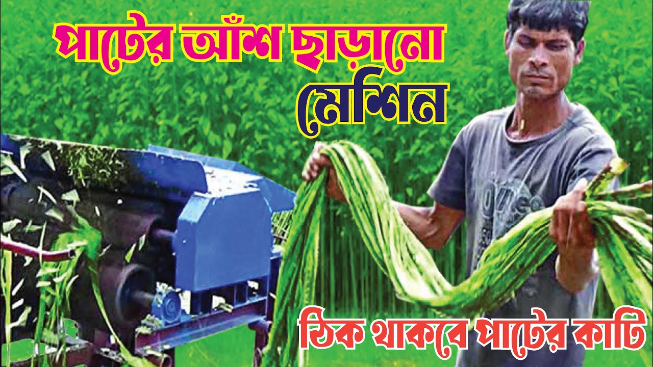 পাটের আঁশ ছাড়ানোর মেশিন, Digital Jute মেশিন  - Jute Fiber Extraction Machine. Janata Engineering