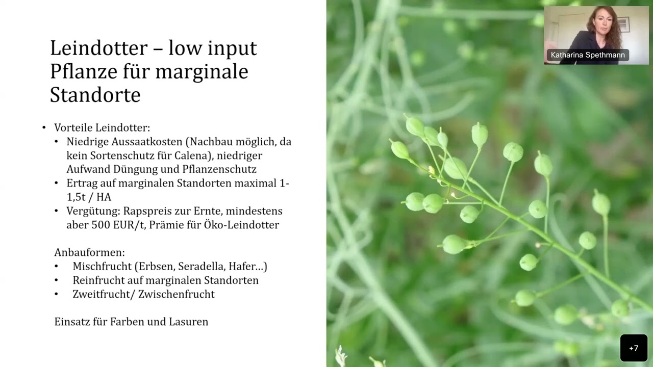 Perspektiven f&uuml;r Landwirte &ndash; Anbau, Verwertung, GAP