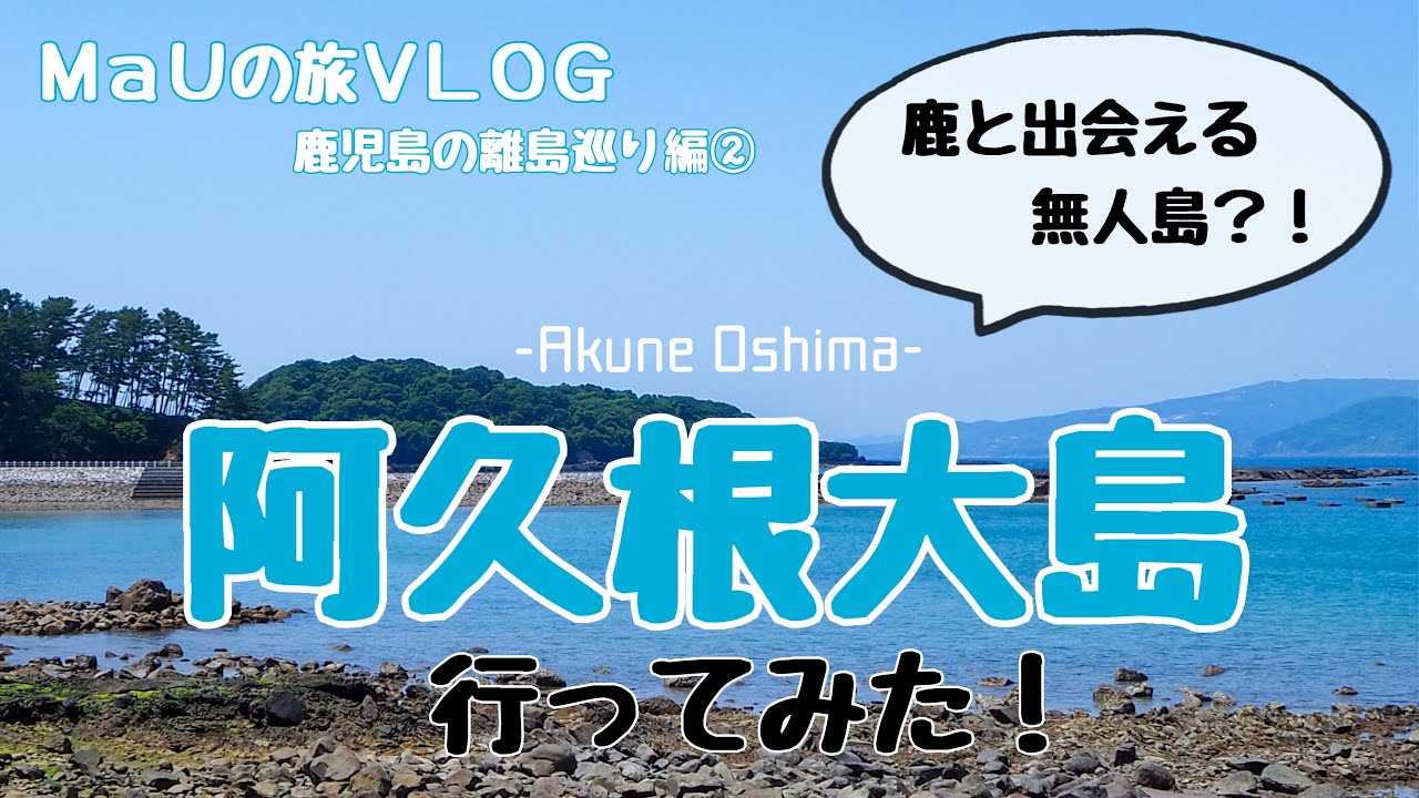 【離島女ひとり旅】海水浴やキャンプができる無人島で鹿と遭遇！季節外れの「阿久根大島」鹿児島の離島旅編②