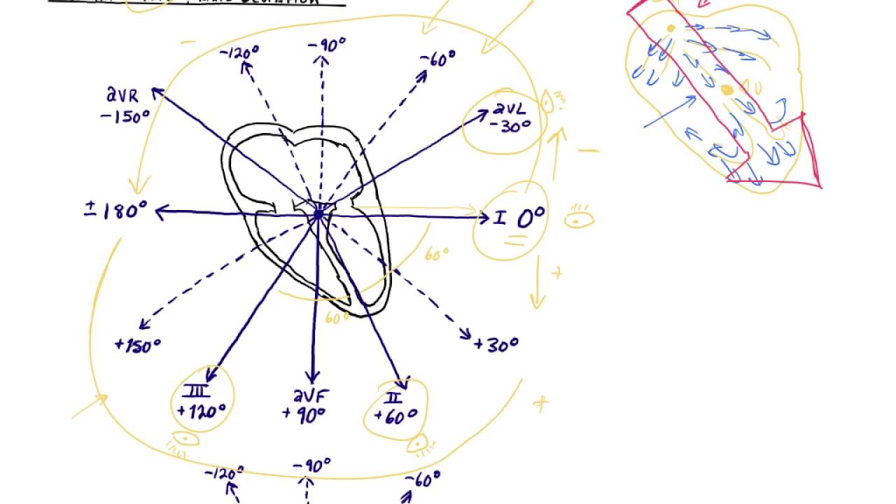Cardiac Axis & Axis Deviation