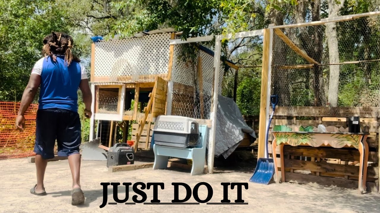 The Ultimate Chicken Coop Cleaning Hack