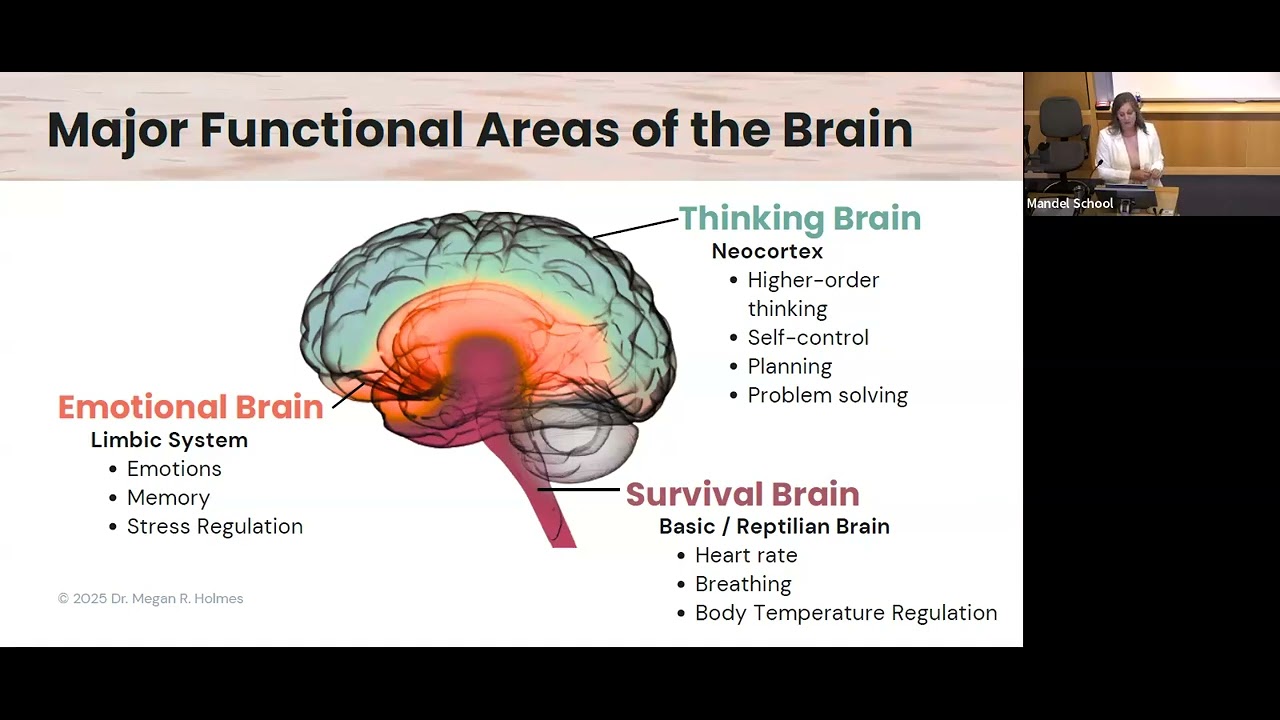 Leading for Well-Being: How Trauma-Informed, Neuroscience-Based Leadership Transforms Organizations