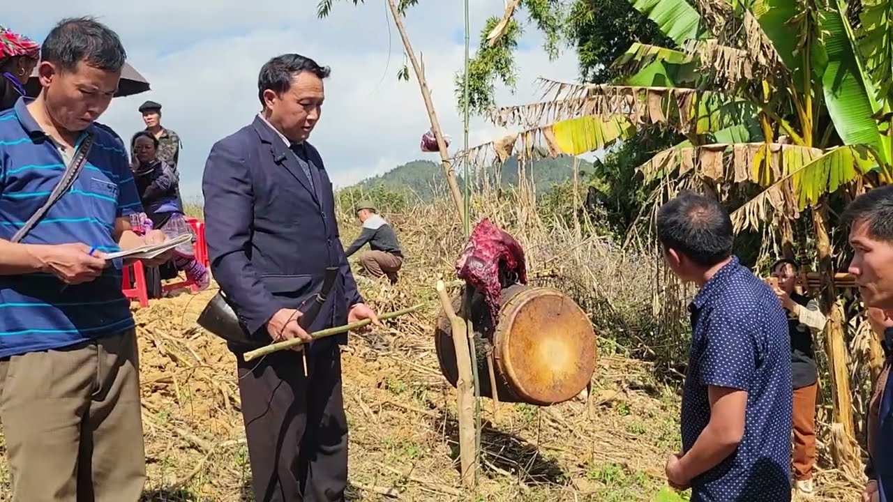 22 tháng 1, 2026 txiv xaiv cob tshaav ntuj 