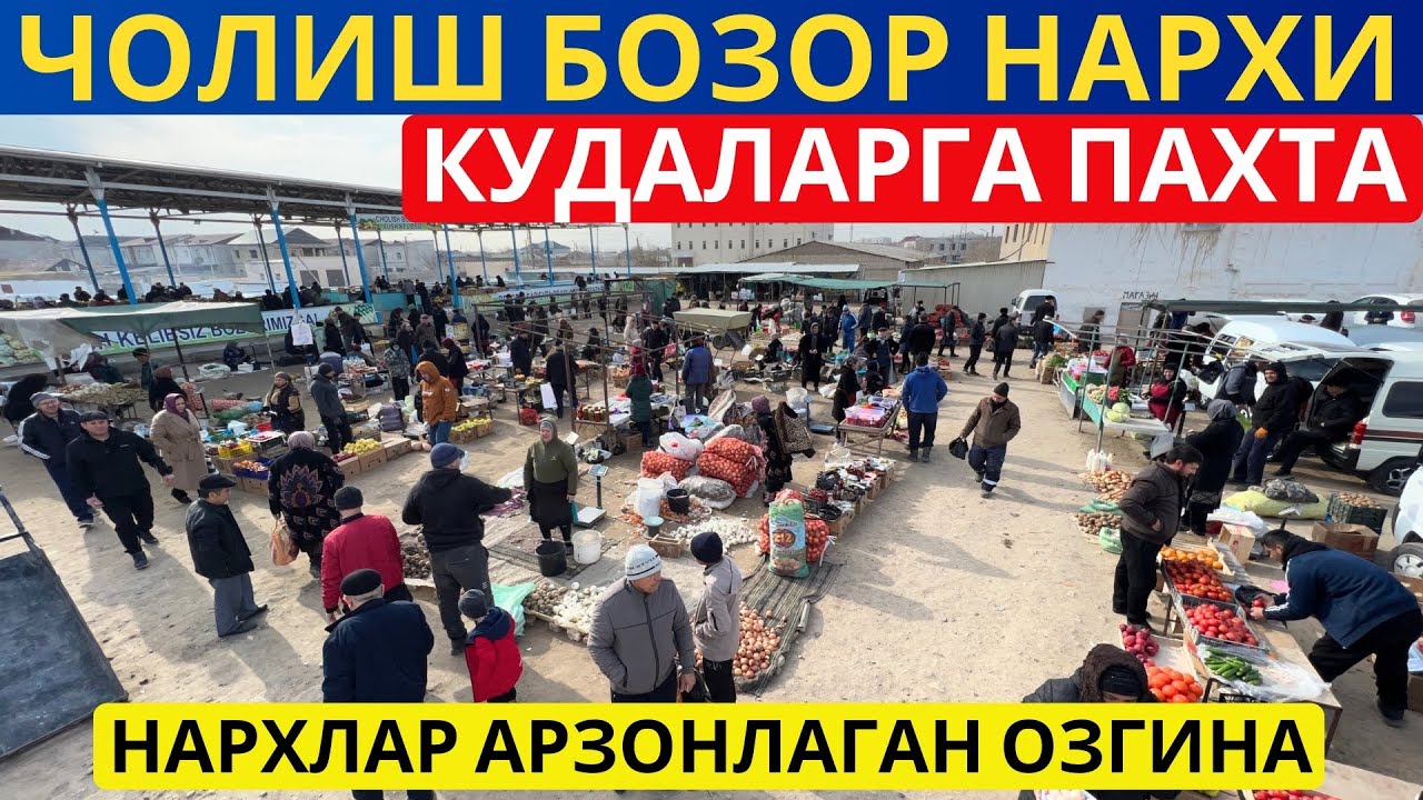 Чолиш бозор нархлари 2025 | Пахта гурунч картошка нархлари
