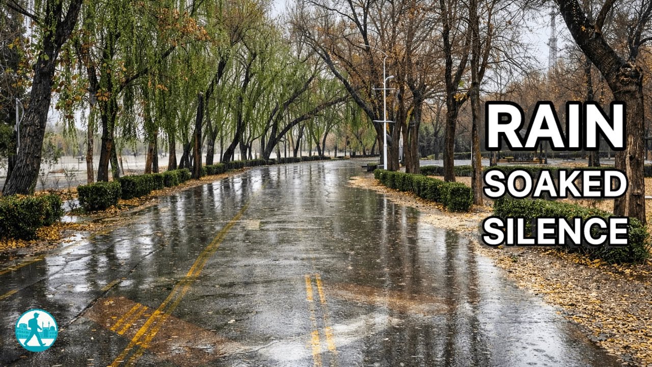 Najvan Park in the Rain 🌧 — A Silent, Cinematic Walk in Isfahan