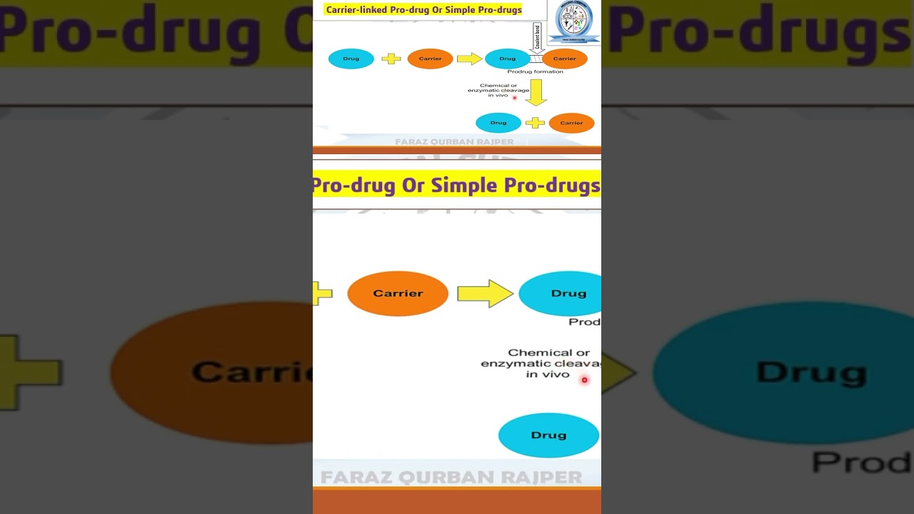 Carrier Linked Prodrugs | Prodrugs Bioactivation | Medicinal Chemistry