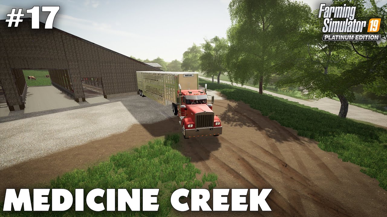 Medicine Creek #17 Buying Our First Cows, Farming Simulator 19 Timelapse, Seasons