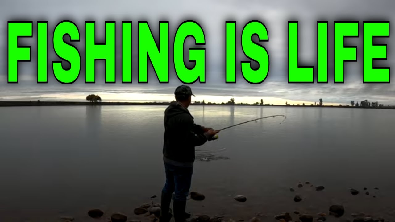 Trout Fishing For 30 Years Non Stop Action (Yosemite Lake Fishing)