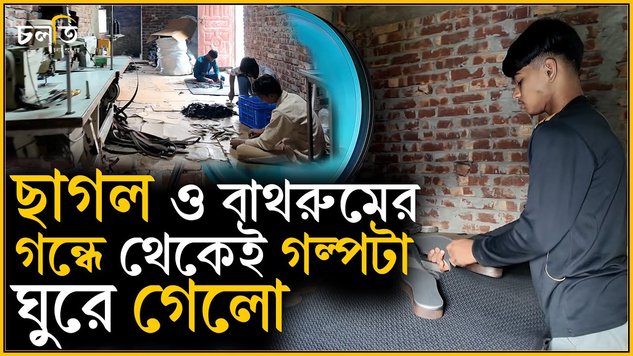 ছাগল, বাথরুম ও ক্যাঙ্গারু স্যান্ডেল | চলতি