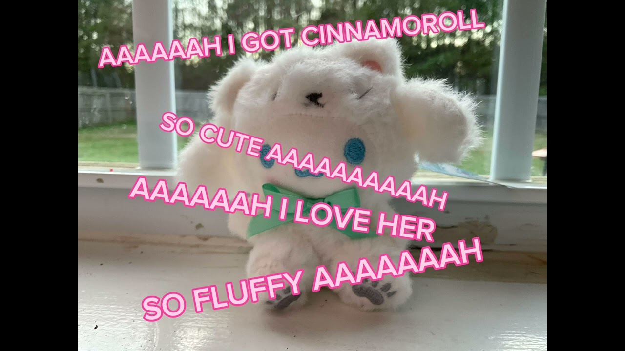AAAAAA I GOT CINNAMOROLL