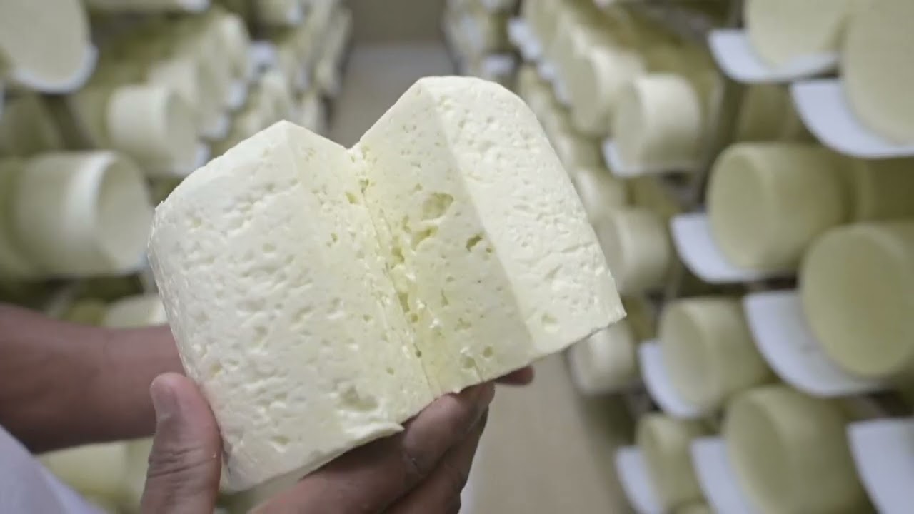 Brazil's Minas artisanal cheese