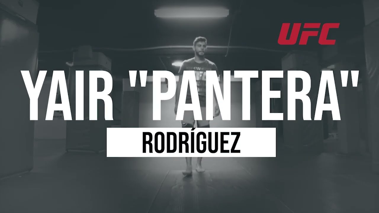 UFC COUNTDOWN YAIR 