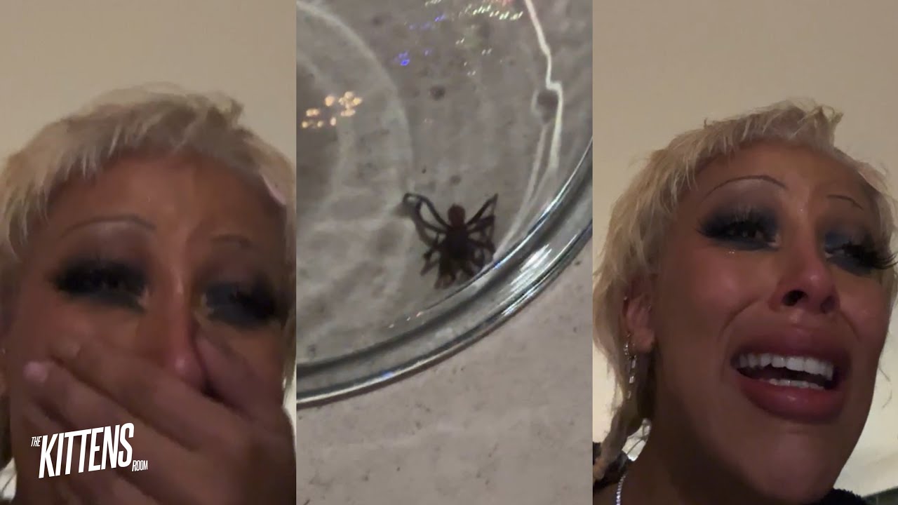 Doja Cat losing her shit over a Spider for 8 minutes straight