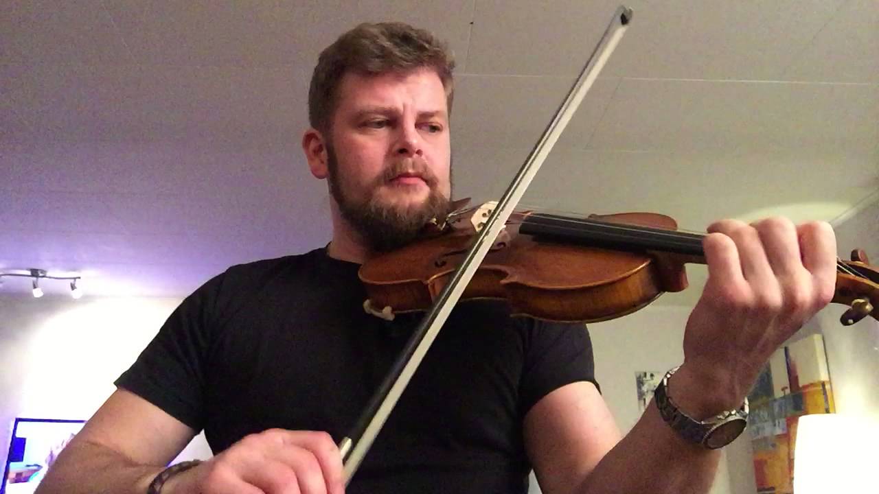 Irish fiddle: Pigeon on the gate