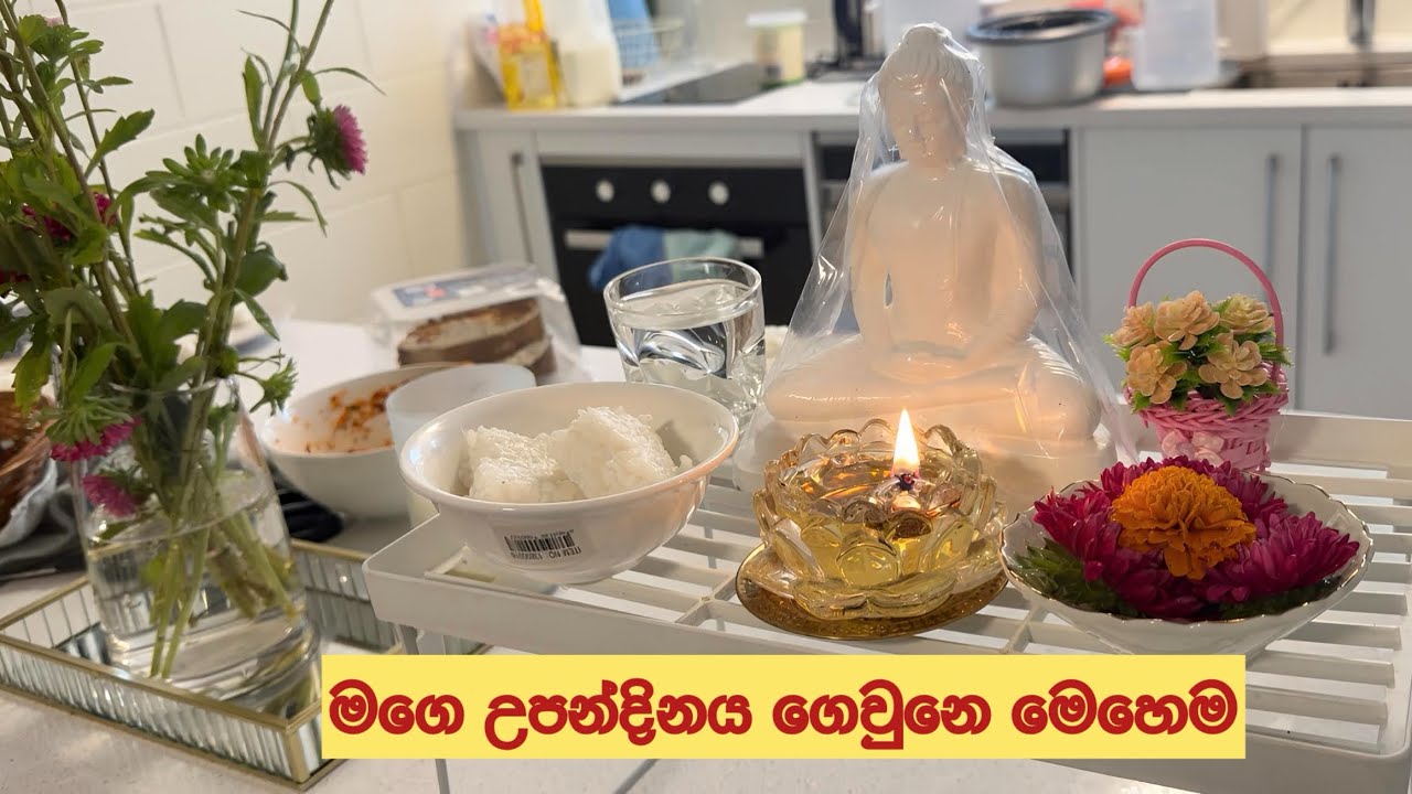 මගෙ උපන්දිනේ දවස ගෙවුන විදිය| Birthday vlog| Auckland NZ
