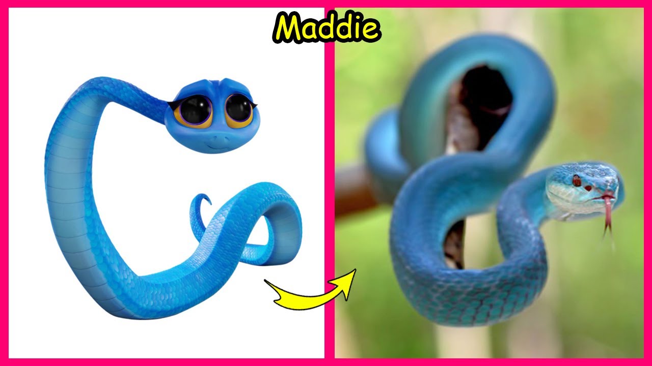 🐍 Возвращение в глубинку 😲 Реальная жизнь