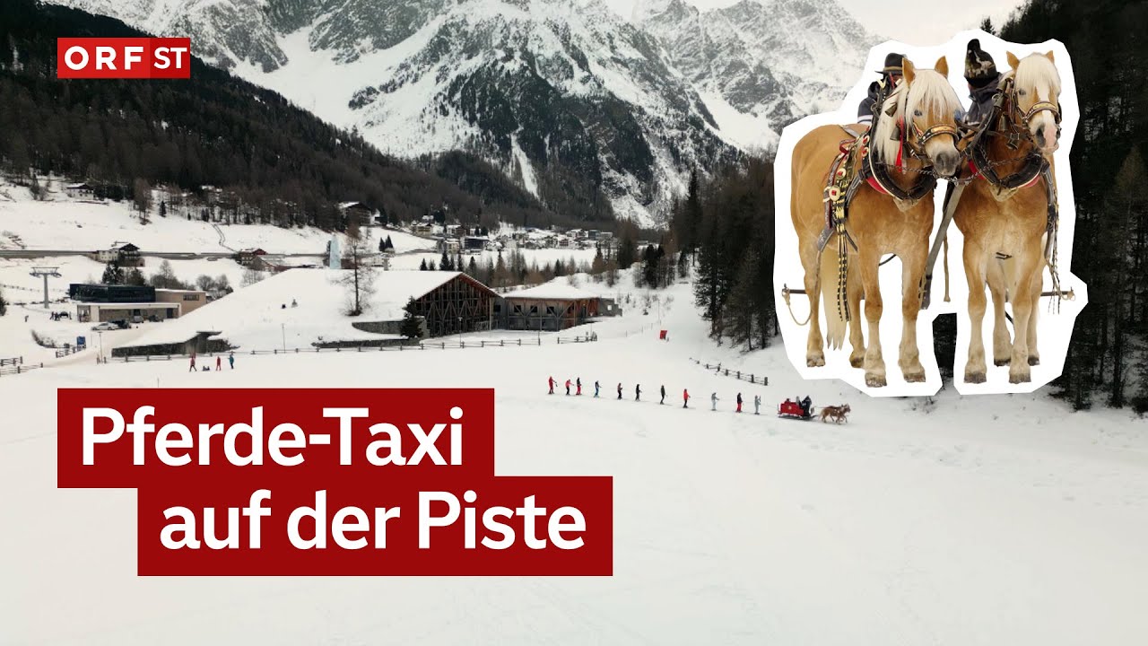 Tierisches Taxi Sulden I Südtirol heute  vom 15.01.2026