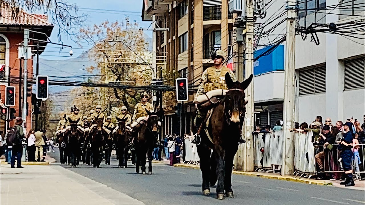 Desfile de Honor: Desfile Fiestas Patrias Los Andes