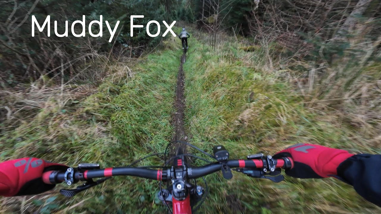 AE Forest Muddy Fox Full Trail 2026