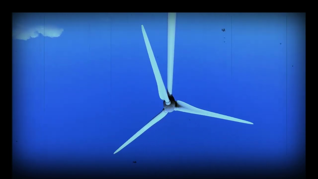 FALLING  (OFFICIAL VIDEO)