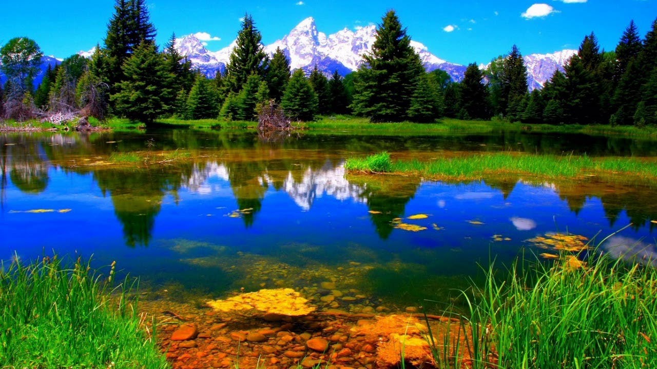 Beautiful Nature Wallpapers - beautiful images of nature