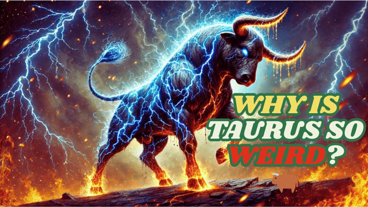 WHY IS TAURUS SO WEIRD ♉🐂