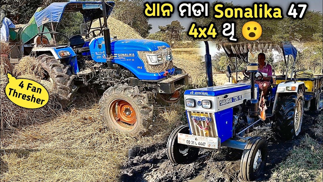 ସୋନାଲିକା 47hp 4wd ଚଳବା 4 fan ଥ୍ରେସର 😮| Swaraj 735 And Sonalika Rx 47 4x4 Work In Paddy Harvesting 