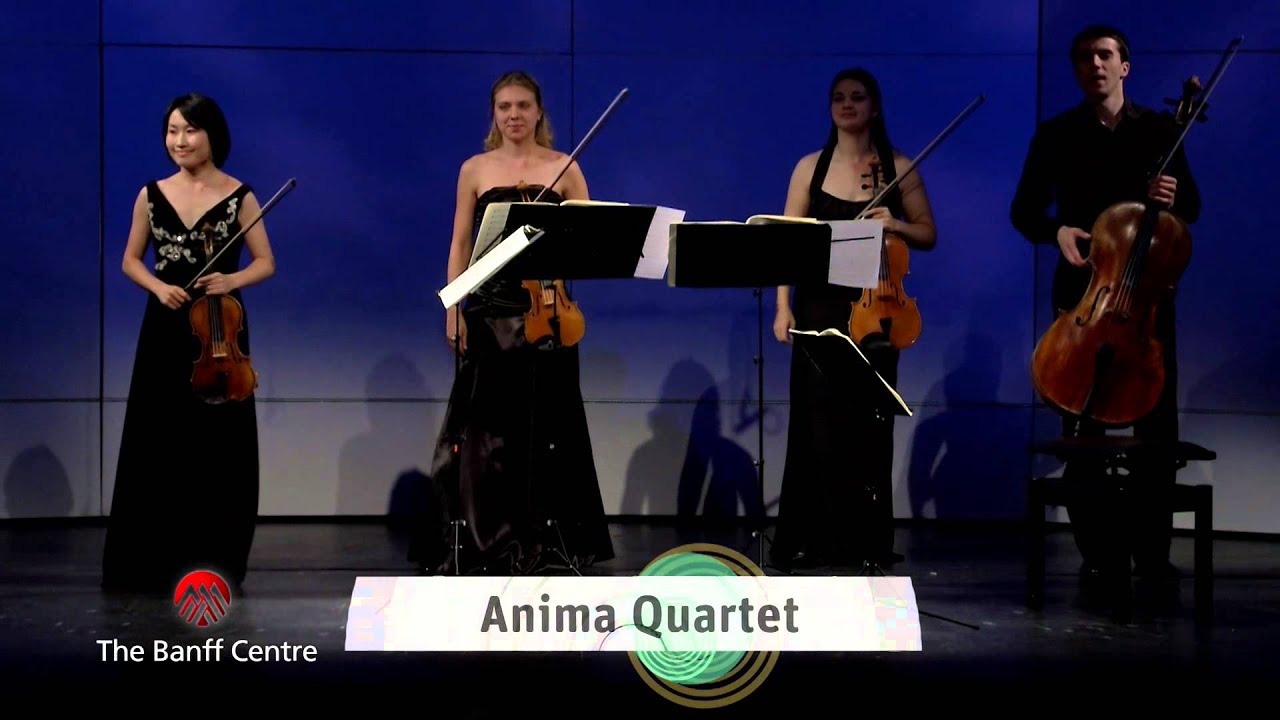 BISQC 2013 - Anima Quartet - Franz Schubert Quartet No. 8 in B flat Major