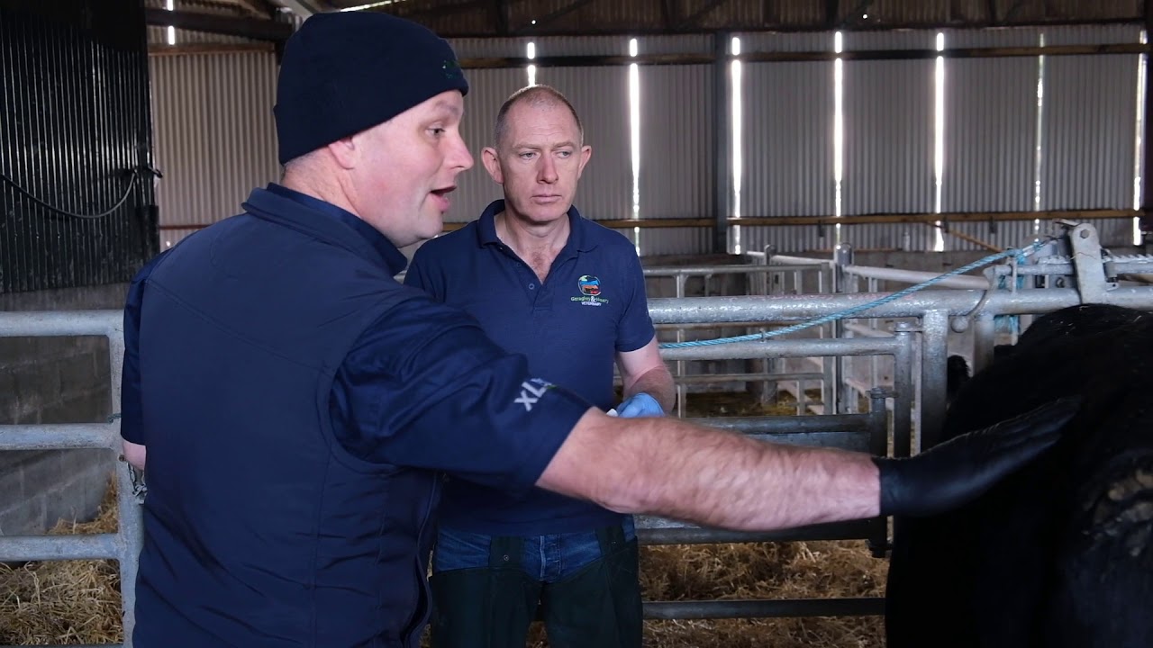 One Health: 5. Handling, storage and administration of antibiotics