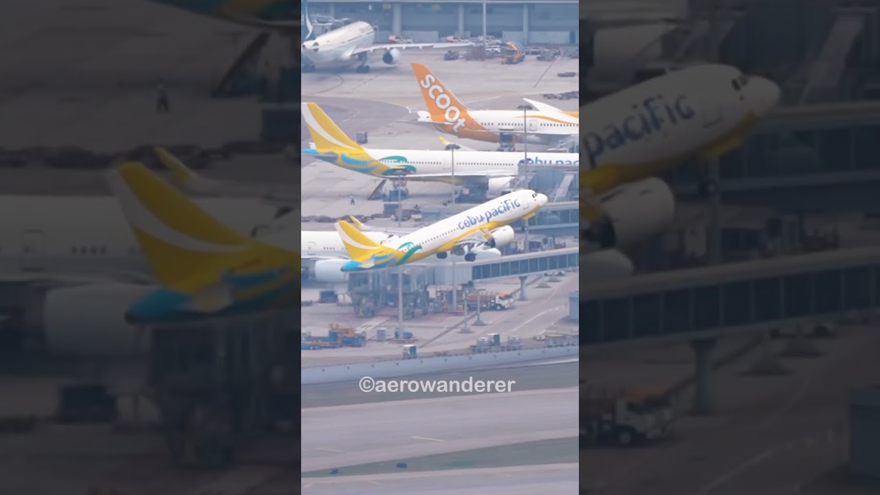 CEBU PACIFC A320NEO takeoff at Hong Kong Airport #shorts #aviation #plane #a320 #hongkong #takeoff