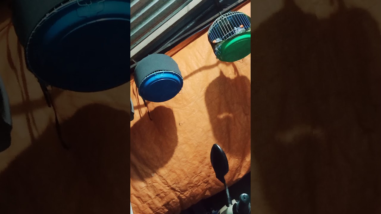 VID20211103224813