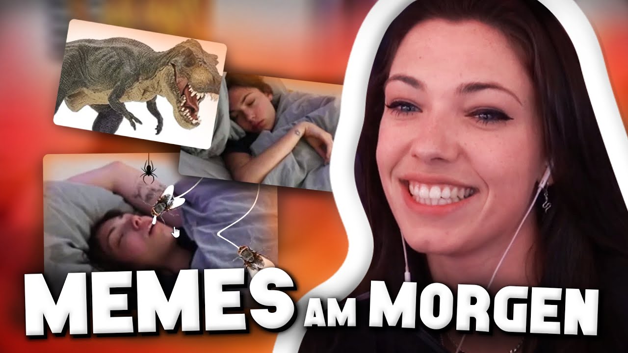 Memes am Morgen aus dem 7 Tage Stream! (Ich schlafe wie ein T-Rex)