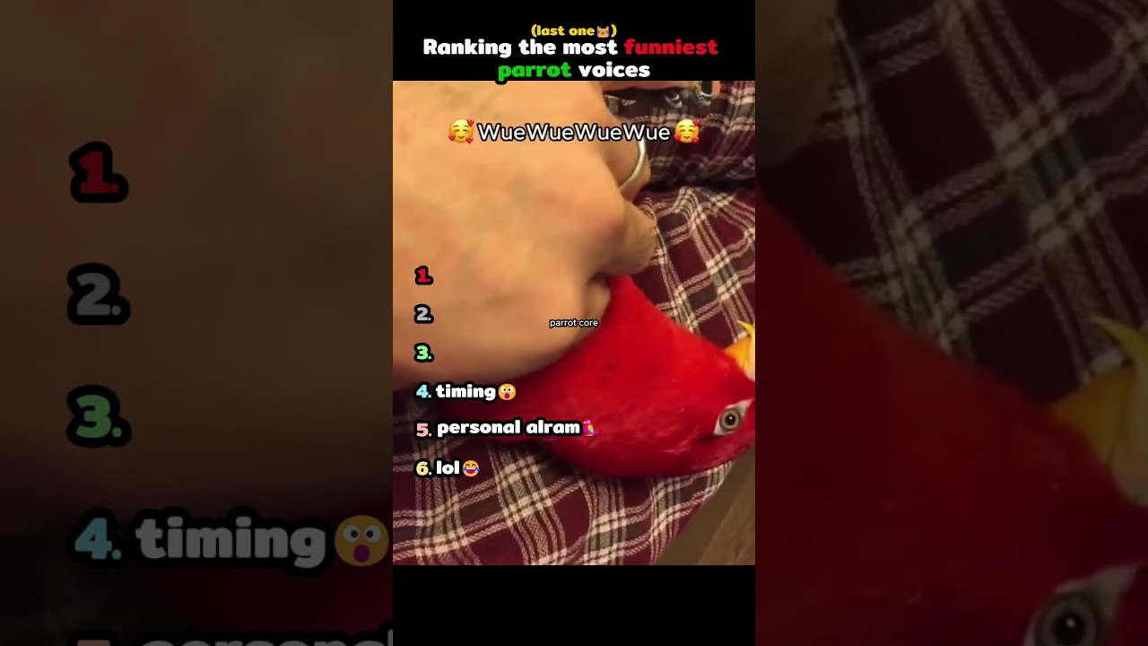 Ranking the most funniest parrot voices part 2 🦜😂 #funny #trending #memes #parrot #shorts #usa