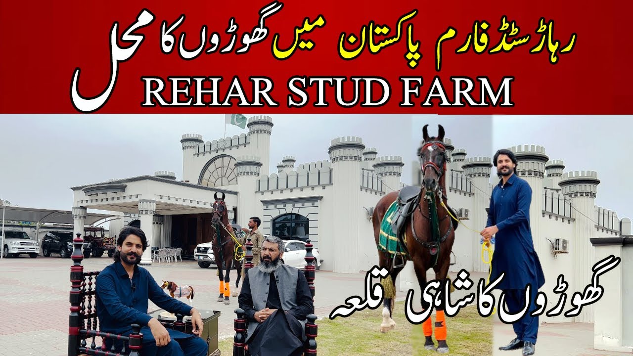 Rehar Stud Farm || Hassan Rehar Exclusive Interview پاکستان کےمشہور برینڈ کےمالک نےگھوڑا فارم بنالیا
