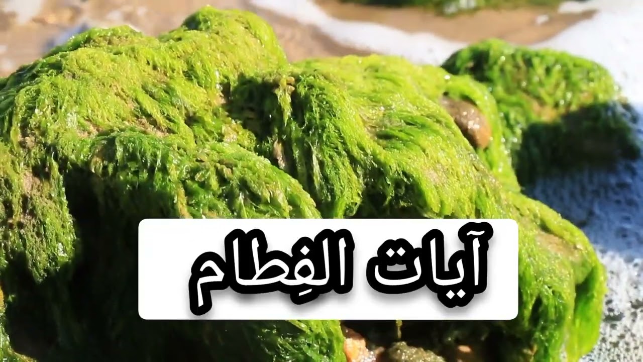 رقية الفِطام